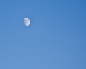 moon on a blue sky on the nature