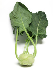 Kohlrabi