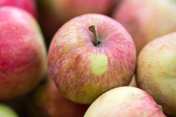 Fototapeta na wymiar background from apples