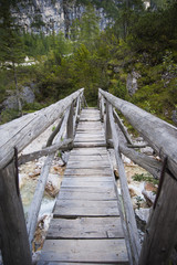 Wooden bridge path through forest, Dolomites, Italy