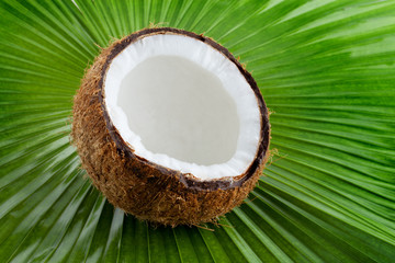 coconut