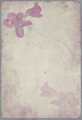 grunge background with a flowers