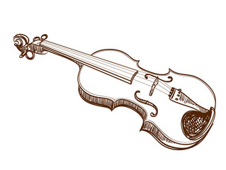 Fototapeta premium hand drawn violin on white