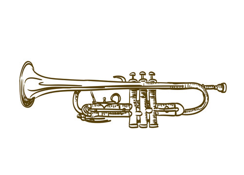 hand drawn trumpet on white