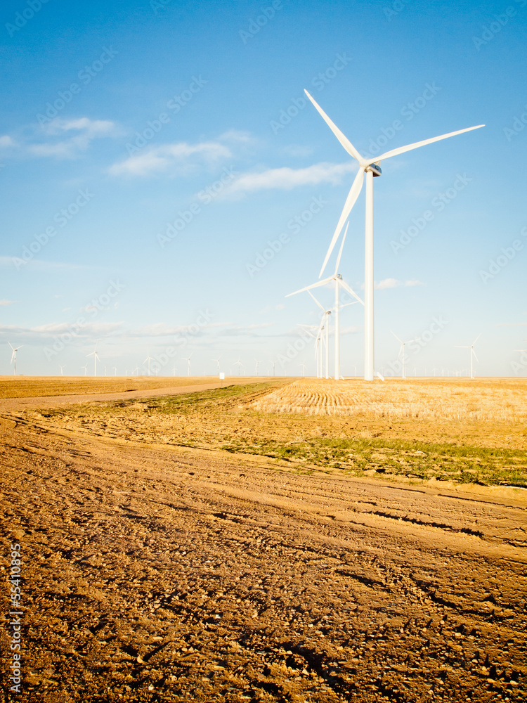 Fototapete Wind turbines farm