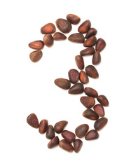 number three of the pine nuts on a white background