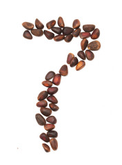 number seven of the pine nuts on a white background
