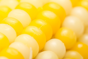 background from corn. macro