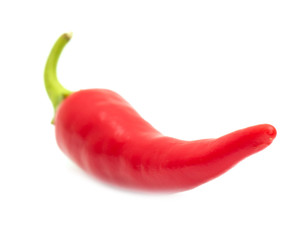 Red hot chili pepper isolated on a white background