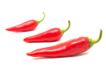 Red chili peppers on a white background