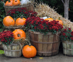 House decorated with pumpkins