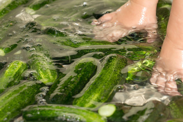 cucumber in water