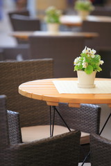 Outdoor restaurant  cafe chairs with table
