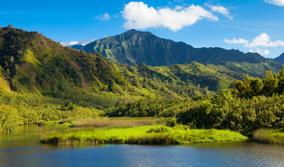 Fototapeta na wymiar Kauai Mountains and Hanalei River