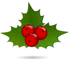 holly berry sprig, christmas symbol