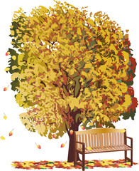 large yellow fall tree and bench