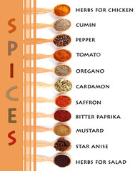 Many different spices with their name in wooden spoons isolated