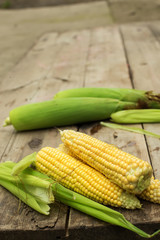 Fresh corn on wooden background