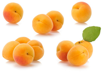 apricot on white background