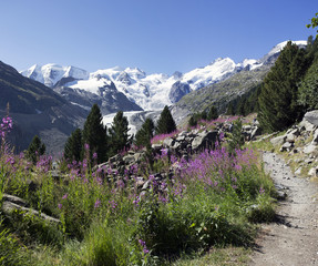 Fototapeta na wymiar Panorama Montagna