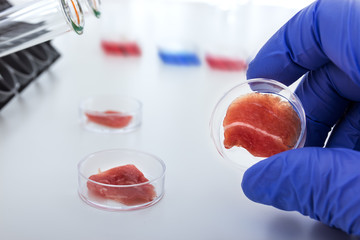 Meat cultured in laboratory conditions from stem cells