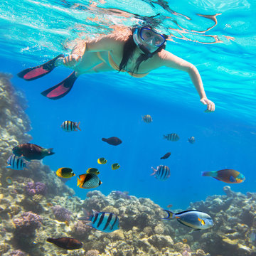 Beautiful woman snorkeling in Red Sea of Egypt