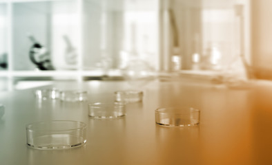 petri dishes used in laboratory..medical glassware