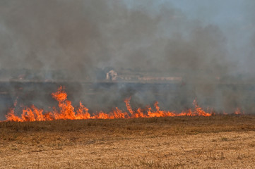 The fire on the field