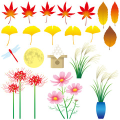 Fototapeta premium 秋の素材