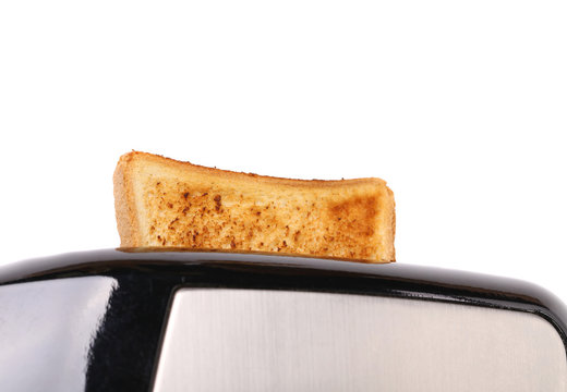 Plain White Toast Popping Up From A Toaster