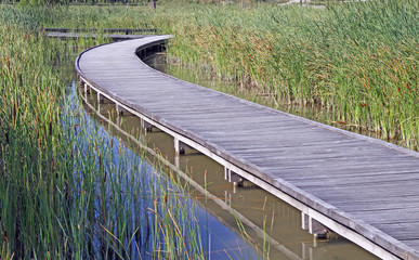 Jardin aquatique