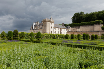 Fototapeta na wymiar Gardens and Chateau de Villandry in Loire Valley in France