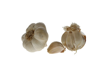 Knoblauch