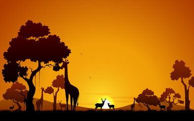 Fototapeta na wymiar Giraffe and Deer in Jungle