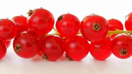 Rote Johannisbeeren vor weissem Hintergrund, Freisteller