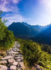 Morning in High Tatras, Slovakia