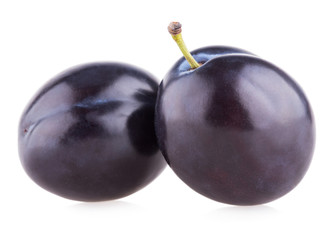 violet plums isolated on white background