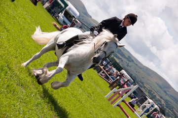 Horse show