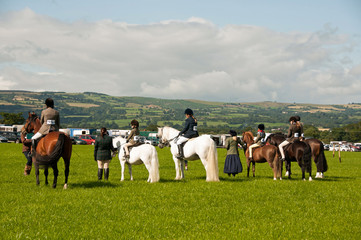 Line up for the judge