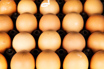 Close up of eggs in black plastic container