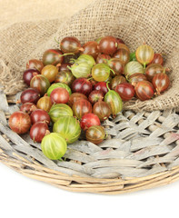 Fresh gooseberries on wicker mat close-up