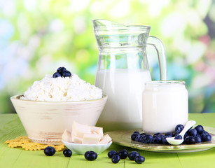 Obraz na płótnie Canvas Fresh dairy products with blueberry