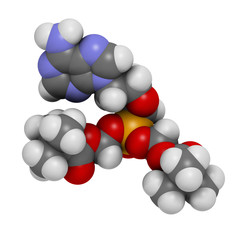 Adefovir dipivoxil hepatitis B and herpes simplex virus (HSV)