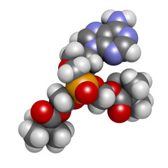 Adefovir dipivoxil hepatitis B and herpes simplex virus (HSV)