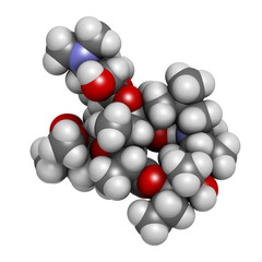Azithromycin antibiotic drug (macrolide class)