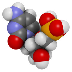 Cidofovir cytomegalovirus (CMV, HCMV) drug, chemical structure.