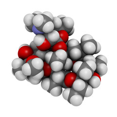 Erythromycin antibiotic drug (macrolide class)