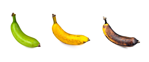 Plantain – Three Stages of Ripeness