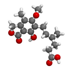 Mycophenolate (mycophenolic acid) immunosuppressive drug