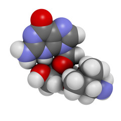 Valganciclovir cytomegalovirus (CMV, HCMV) drug